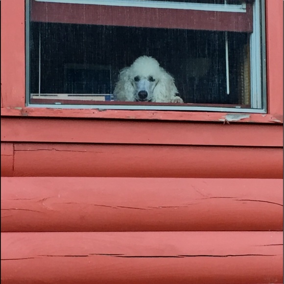 Meet your Posher, James - Picture 1 of 1